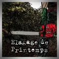Jan Thirion – Elagage de Printemps
