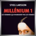 Stieg Larsson – Les Hommes qui n'Aimaient pas les Femmes
