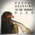 Pascal Dessaint – Tu ne Verras Plus