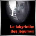 Dominique Delpiroux – Le Labyrinthe aux Légumes